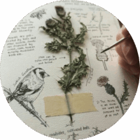 3 biophilic design development of standarts e1745009530999