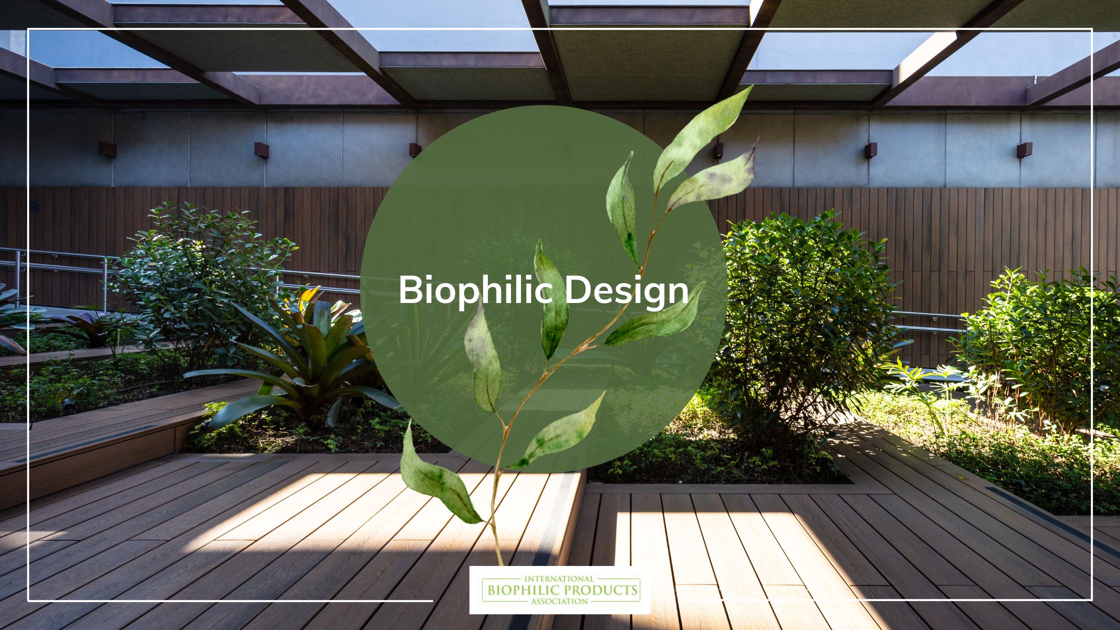 What Biophilic Design is