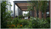 bringing the outside into the office e1745269851723