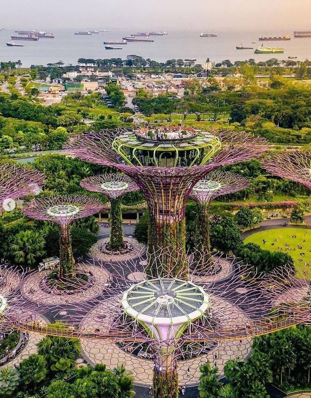 Biophilic Architecture: Singapore