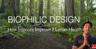 wha is Biophilic Design Benefits of Biophilic Architecture e1745277440784