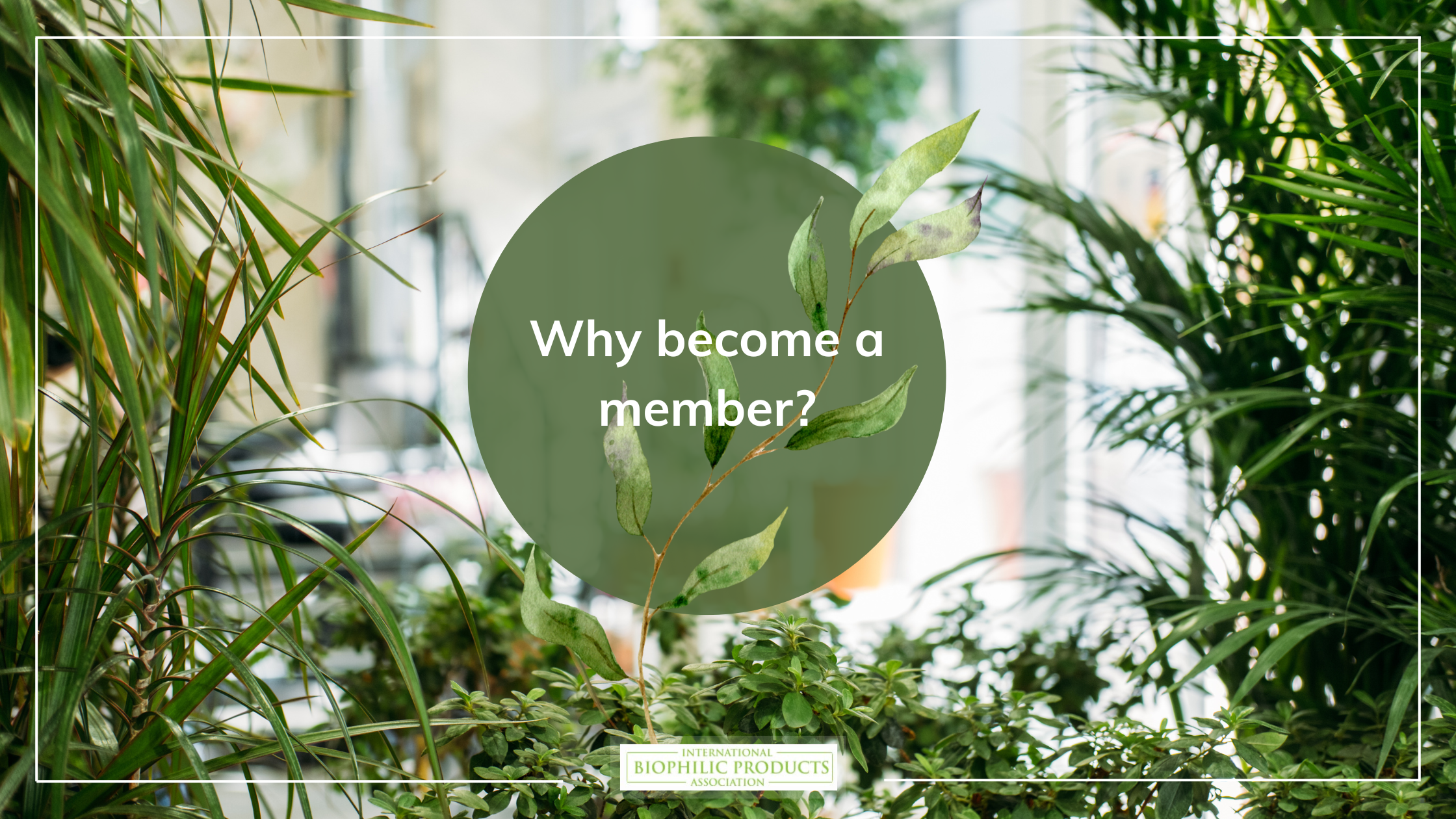why become member biophilic products