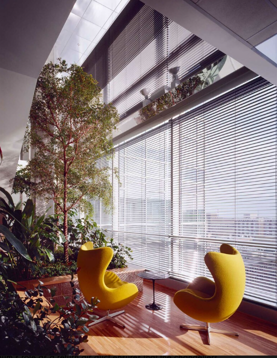 Natural light: the original wellness tool 5 The Genzyme Center in Cambridge