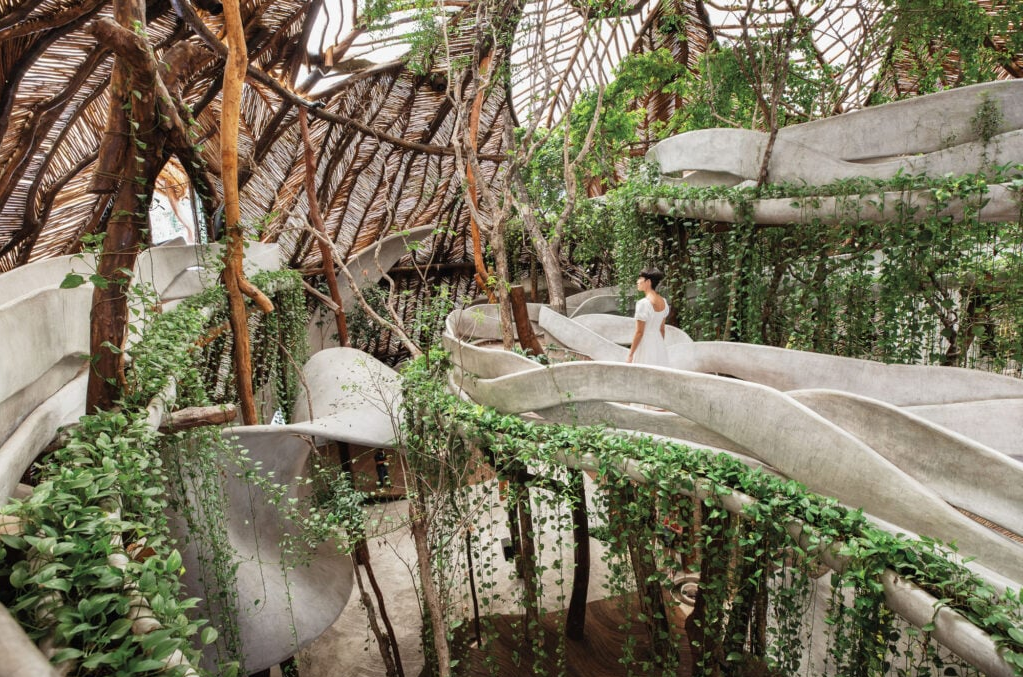 biophilic garden