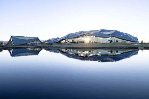 Natural light: the original wellness tool 7 google campus biophilic design