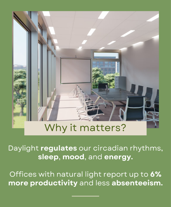 Natural light: the original wellness tool 1 natural light better productivity