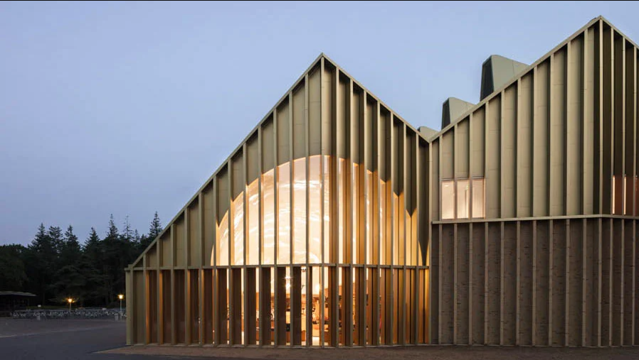 pavilion where lighting mimics branches