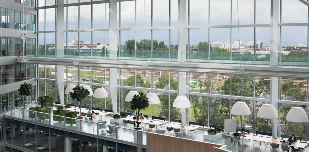 Natural light: the original wellness tool 6 Image of The Edge view in Amsterdam