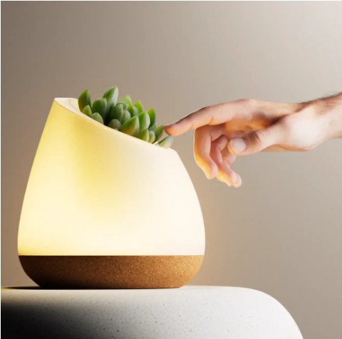 What are the most used materials for biophilic decoration? A guide to biophilia in design 9 Biophilic decoration: Bioolux