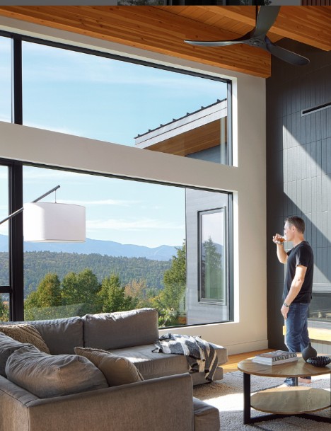 A window to wellness: how biophilia in interior design uses light and views to transform spaces 3 biophilia in interior design