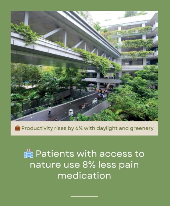 Biophilic design has scientific support, and the numbers speak for themselves 4 Biophilic design is confirmed by science: Productivity rises by 6% with daylight and greenery