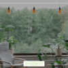 Bring biophilic design to life