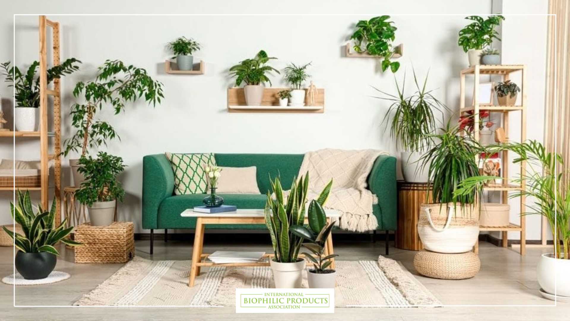 Modern living room decorated with various green plants in different pots and wooden stands, including a green sofa with cushions, creating a cozy and natural environment.