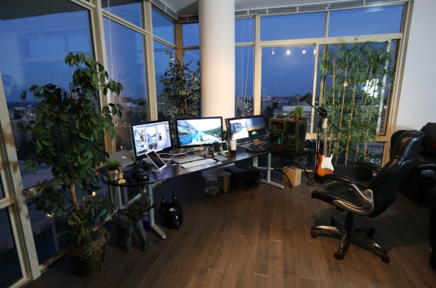 Organic arquitecture and biophilic design
