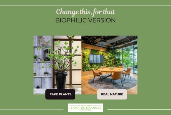 Biophilic version real nature
