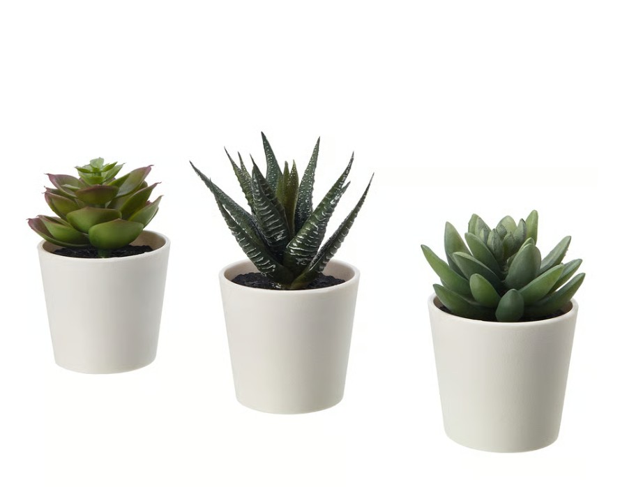 fake plants
