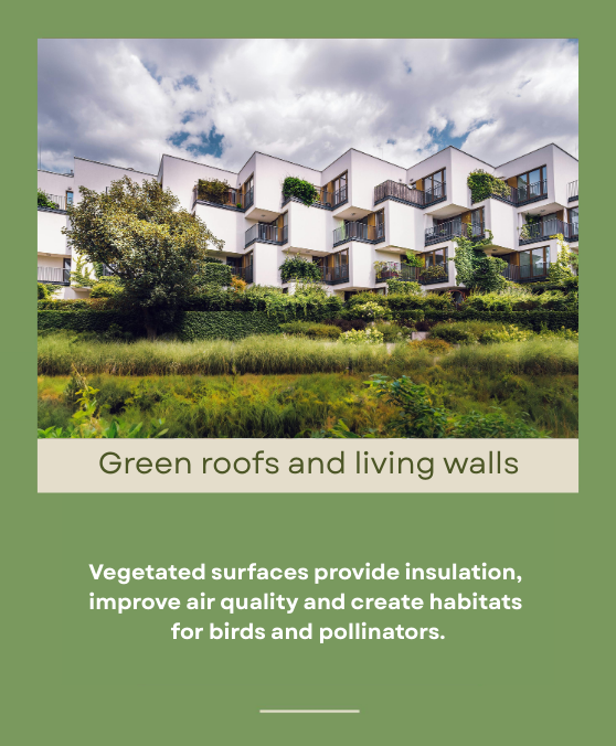 green architecture home