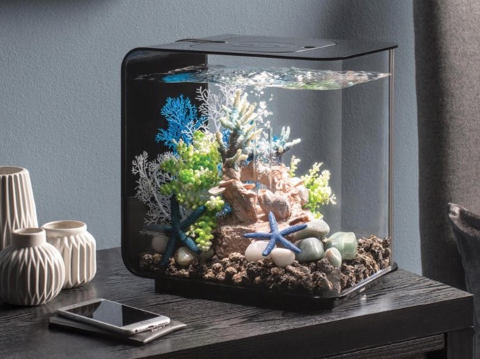 Aquatecture rectangle aquarium