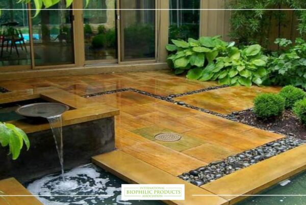 Aquatecture in Biophilic Design
