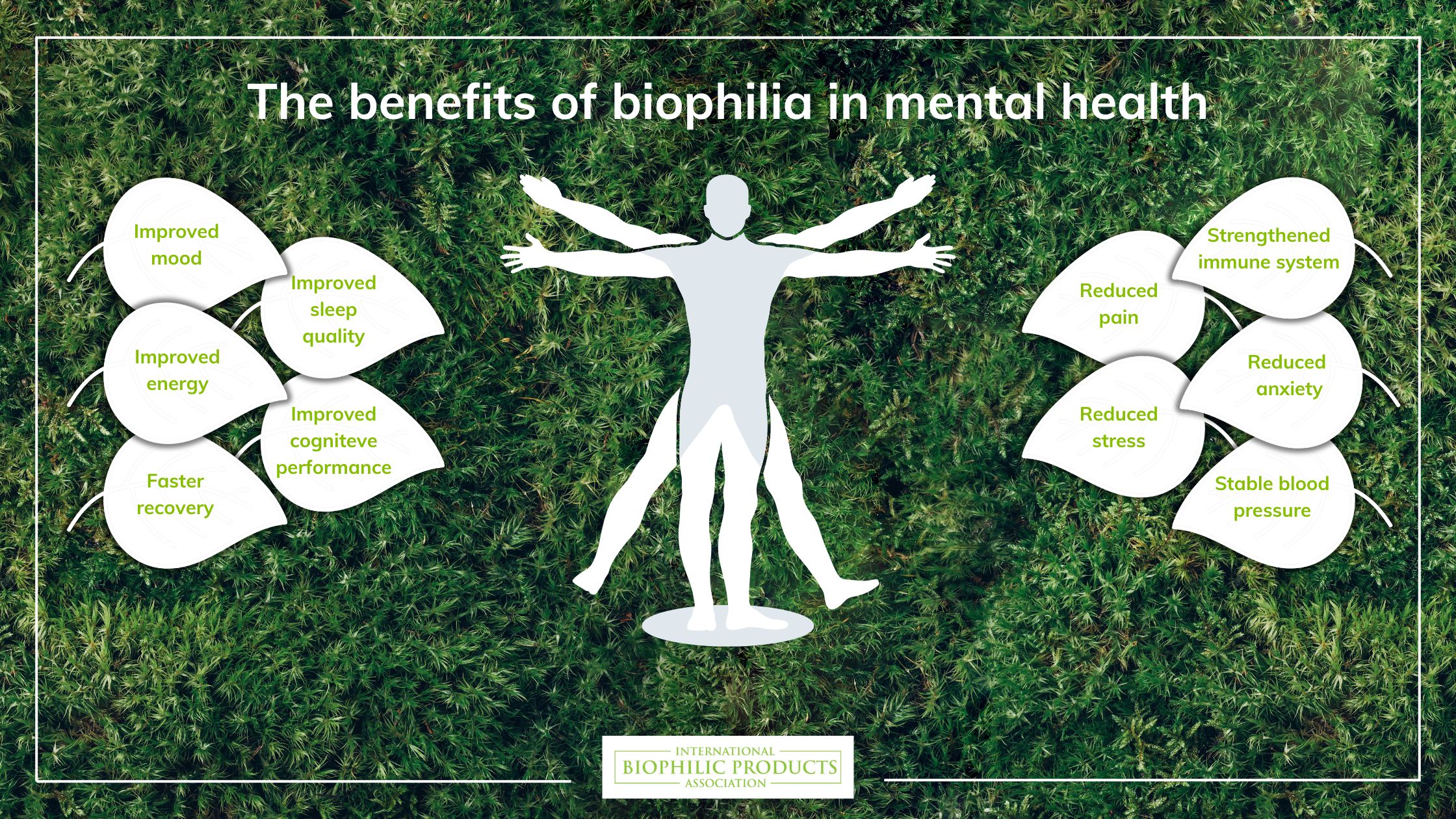 The benefits of biophilia in mental health