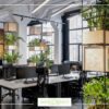 Biophilic design the power of plants