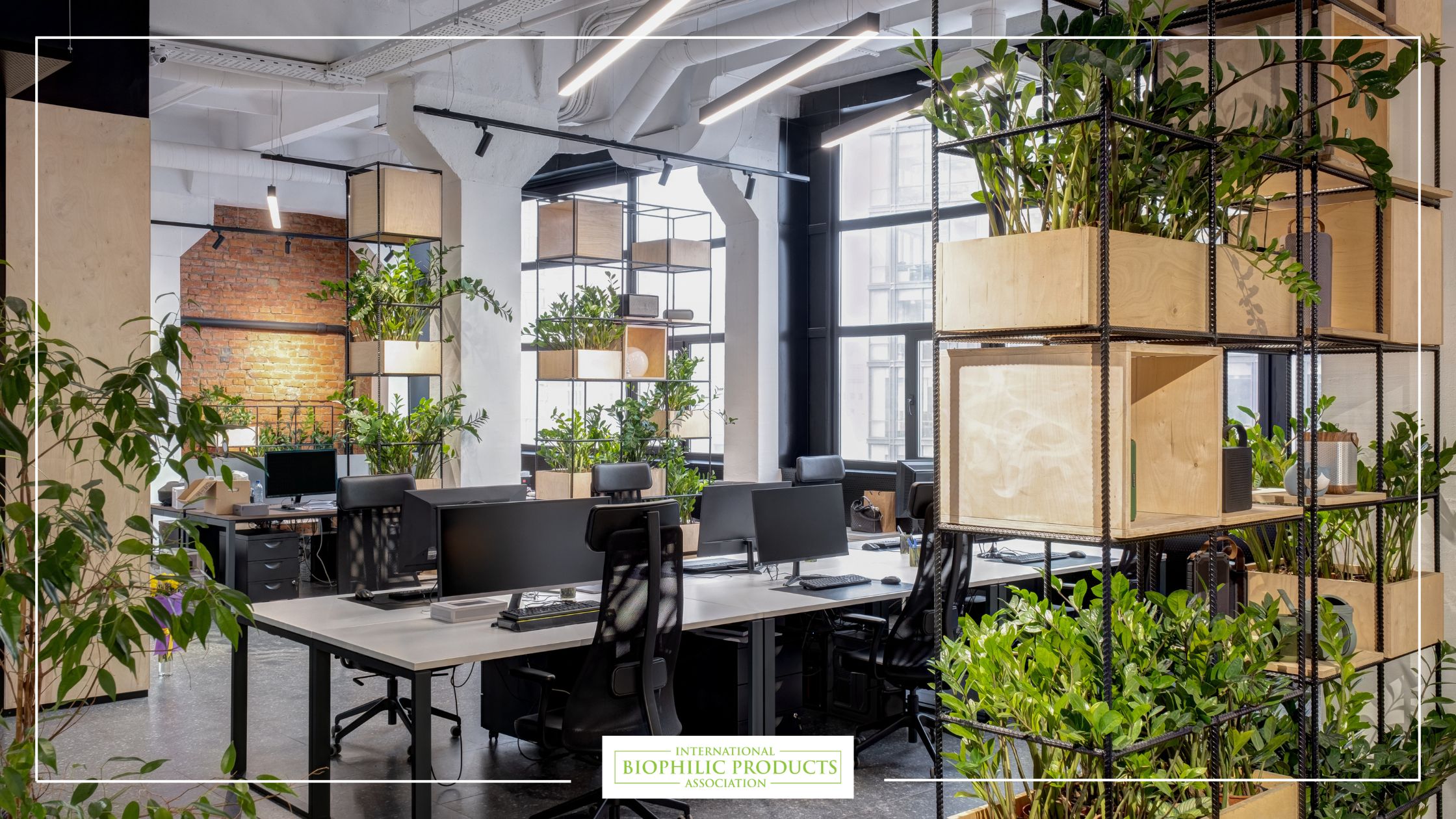Biophilic design the power of plants