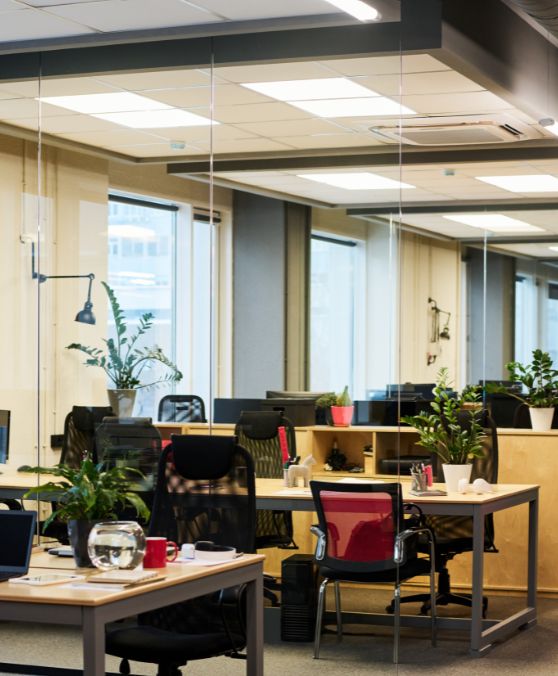 What is biophilic office design: bringing nature into the workplace 1 Biophilic design workplace