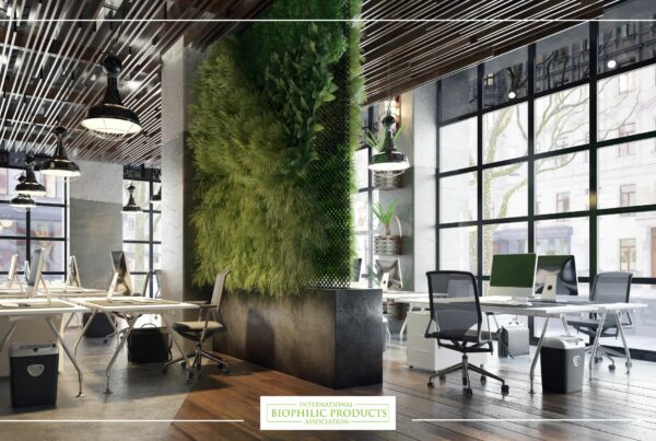 Biophilic office design: bringing nature into the workplace