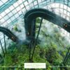 Forms patterns biophilic design