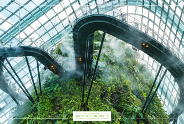 Forms patterns biophilic design