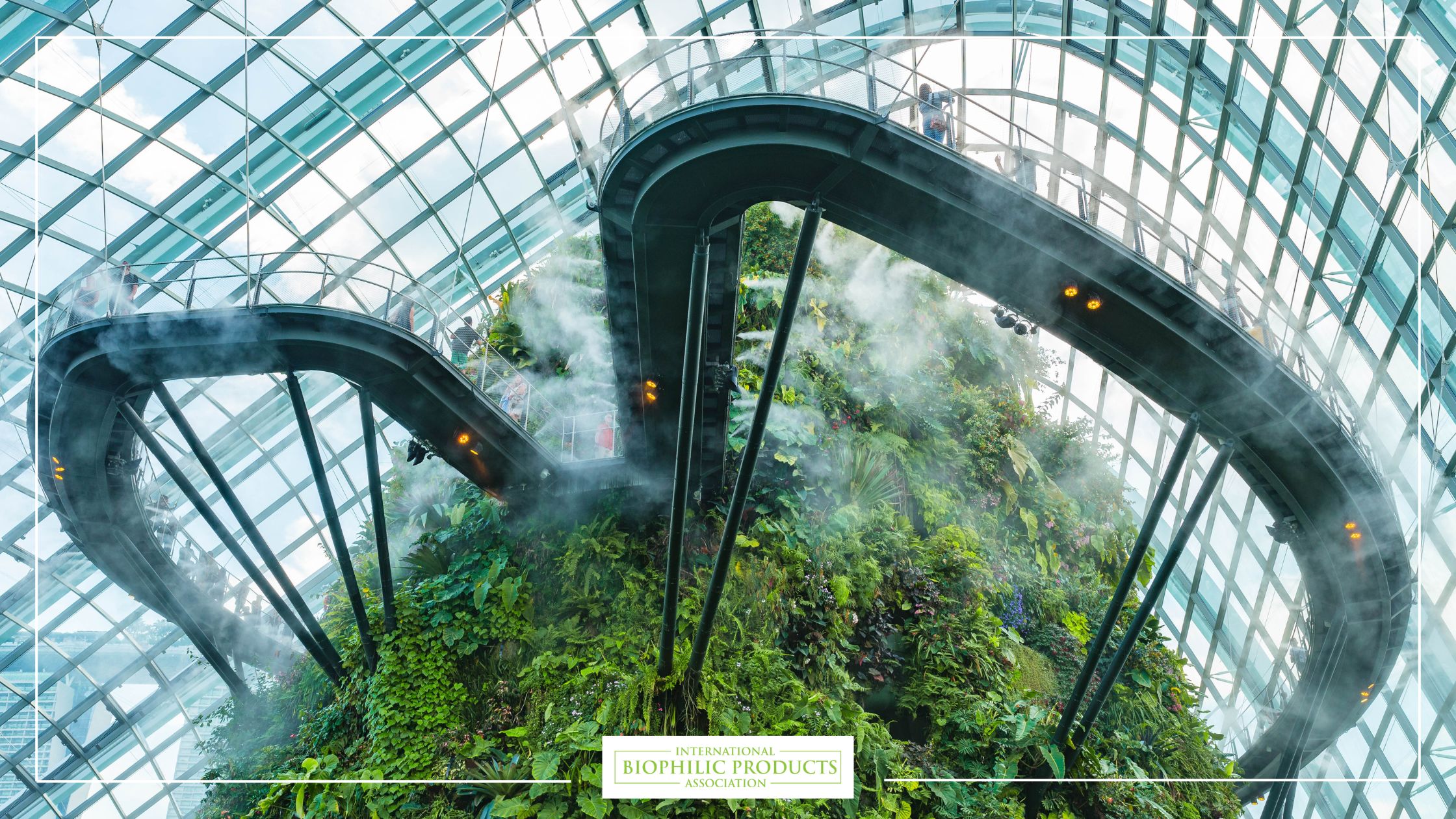 Forms patterns biophilic design